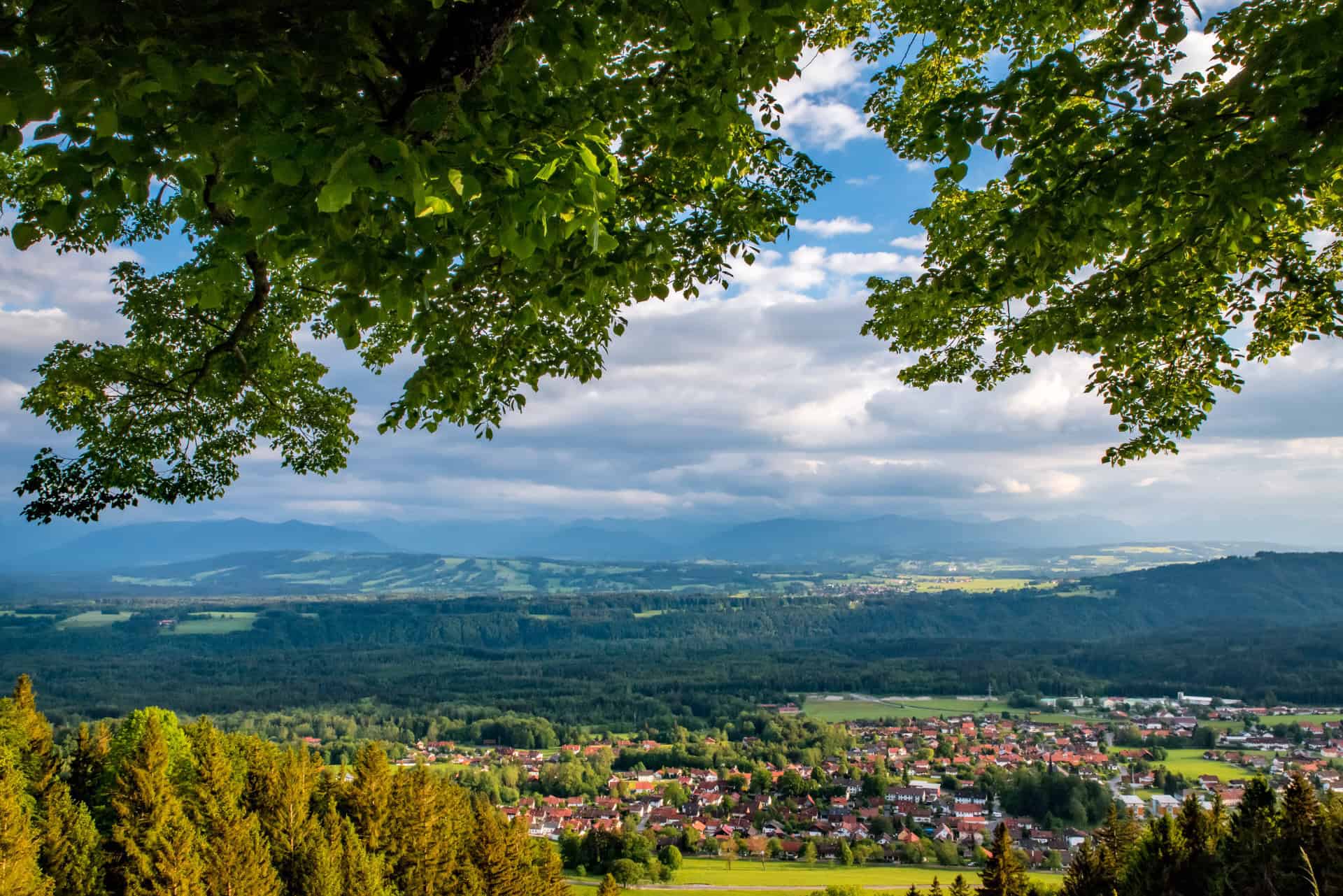 Fernblick auf die Natur rund um das Ferienhaus Karl inmitten der grünen Landschaft, ideal für entspannte Urlaubstage in Deutschland.