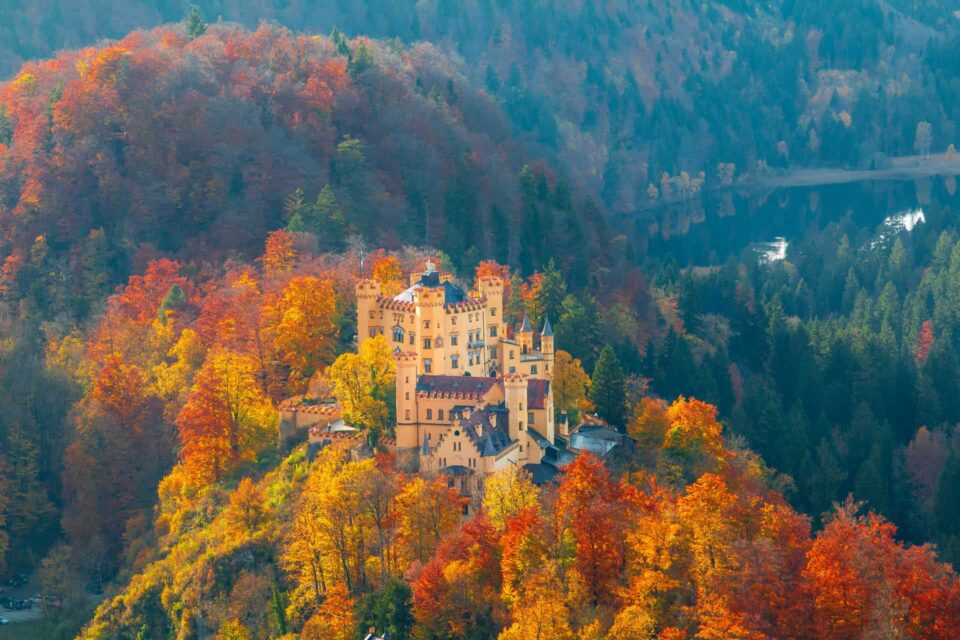Schloss Neuschwanstein in den bayerischen Alpen, idyllisch im Herbst mit buntem Laub.
